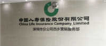 中国人寿保险股份有限公司深圳市分公司王鲜利团队